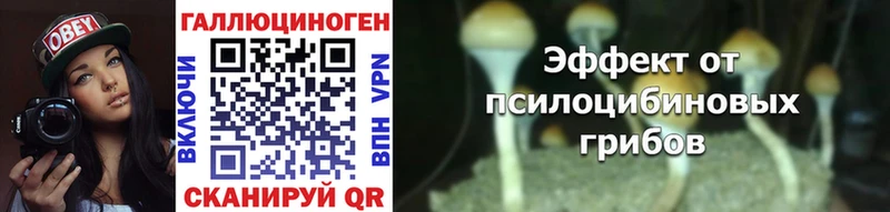 KRAKEN сайт  Жуков  Псилоцибиновые грибы Psilocybe  цена  